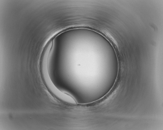 X0000115660789200911251709