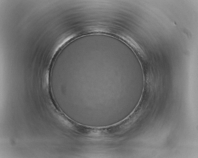 X0000115660790200911251709