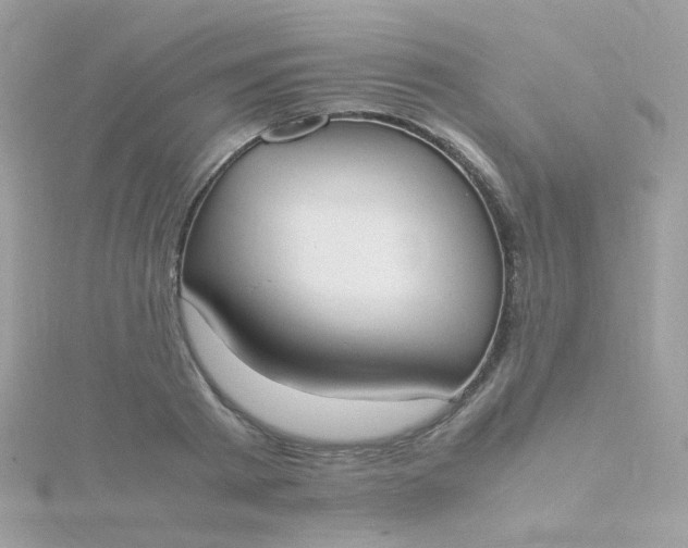X0000115660793200911251708