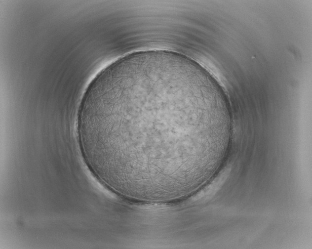X0000115660797200911251708