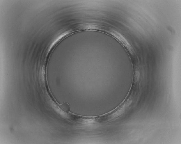 X0000115660798200911251708