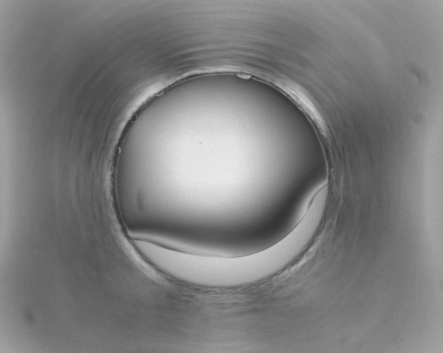 X0000115660805200911251708