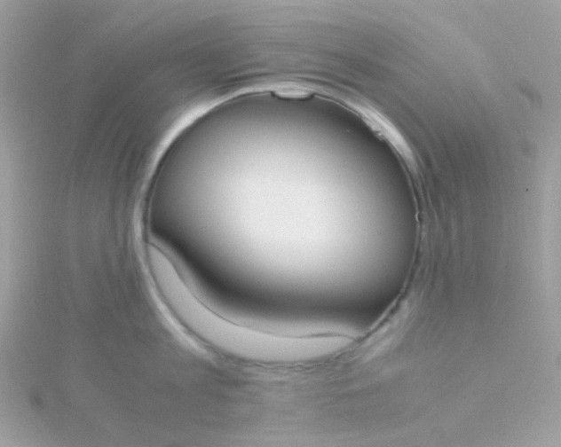 X0000115660813200911251708