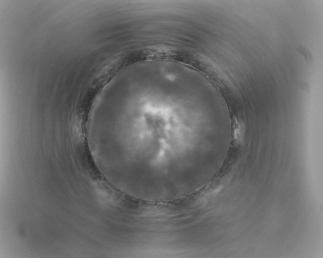 X0000115660819200911251707