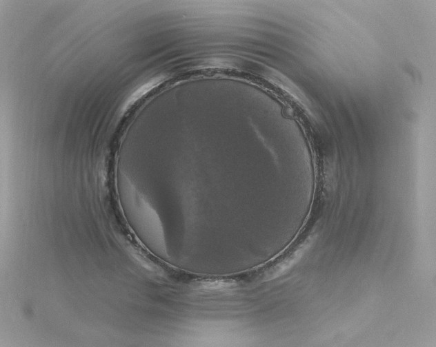 X0000115660826200911251708