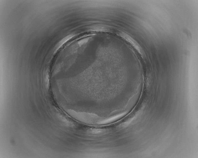 X0000115660829200911251708