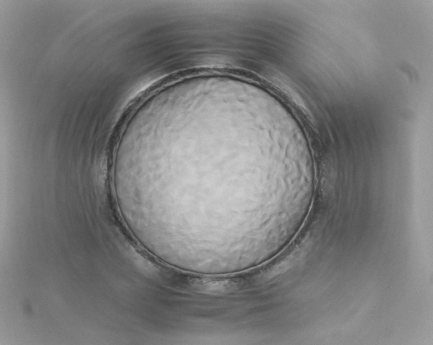 X0000115660831200911251708