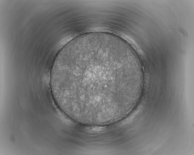 X0000115660841200911251708