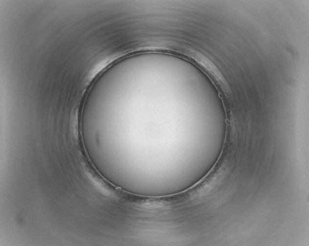 X0000115660842200911251708