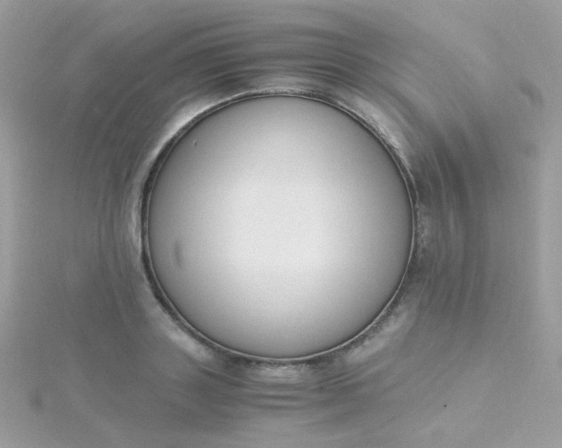 X0000115660843200911251708