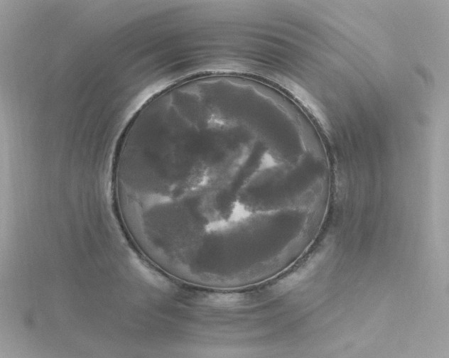X0000115660845200911251708