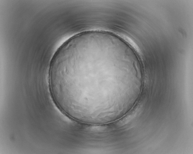 X0000115660847200911251708