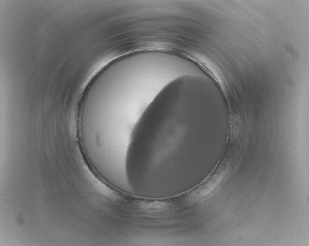 X0000115660851200911251708