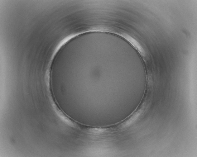 X0000115660854200911251708