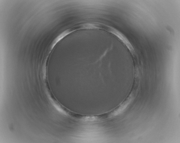 X0000115660858200911251708