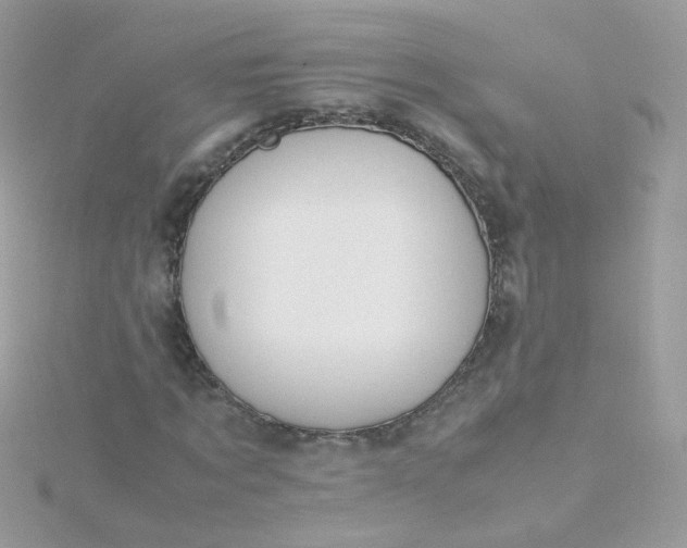 X0000115660869200911251707