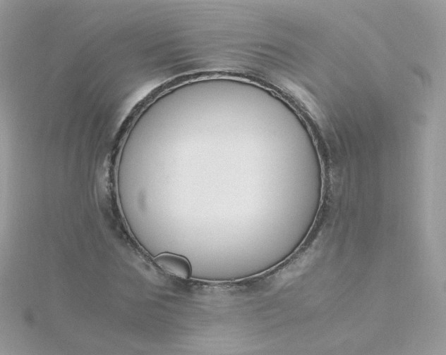 X0000115660875200911251707