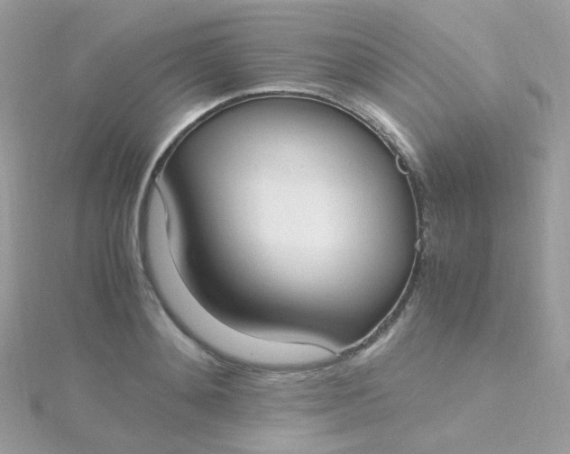 X0000115660892200911251707