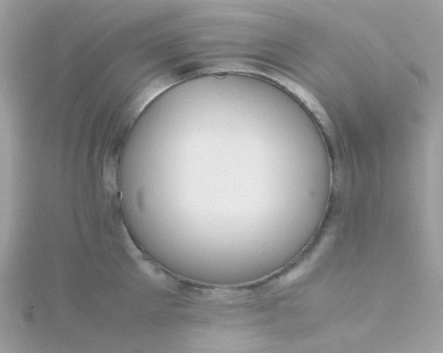 X0000115660905200911251707