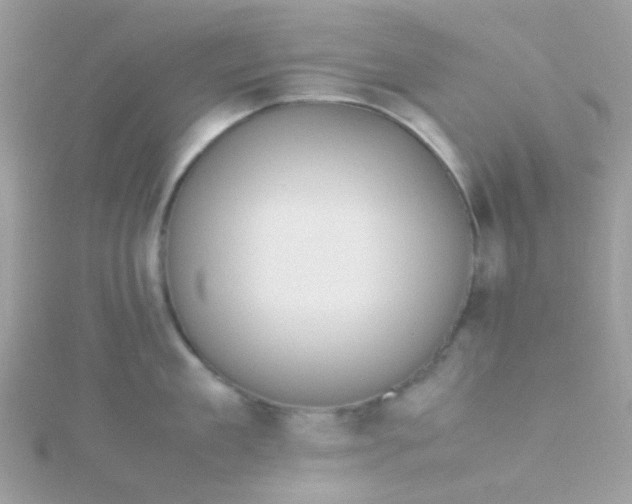 X0000115660909200911251707