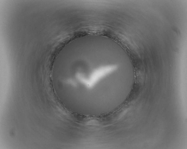 X0000115660913200911251706