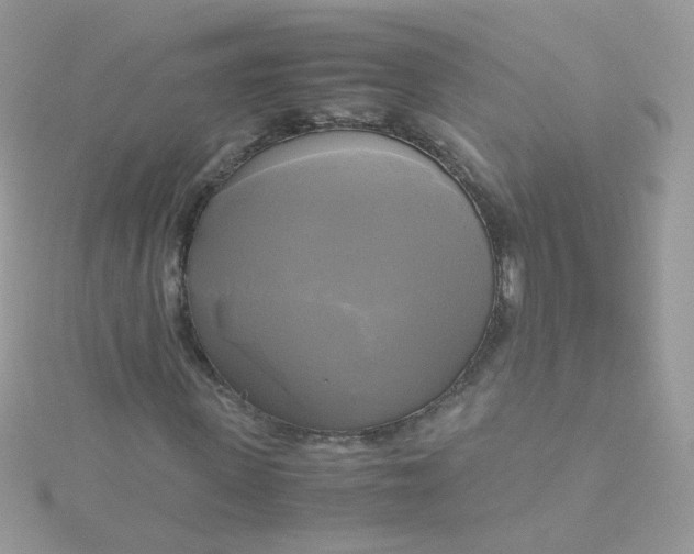 X0000115660915200911251706