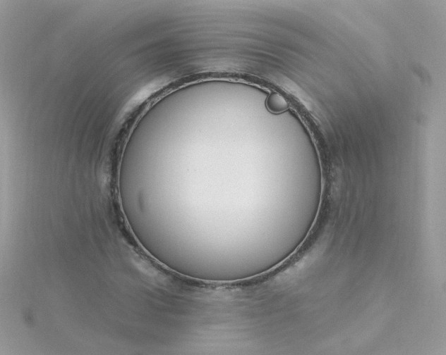 X0000115660922200911251706