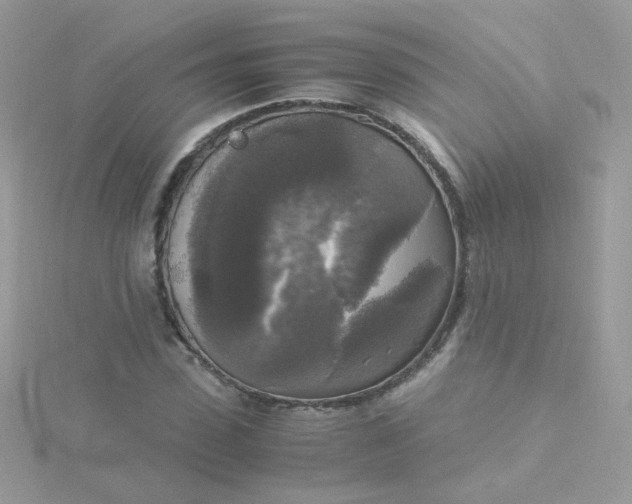 X0000115660923200911251706