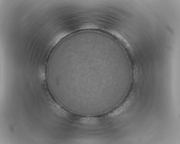 X0000115660929200911251706