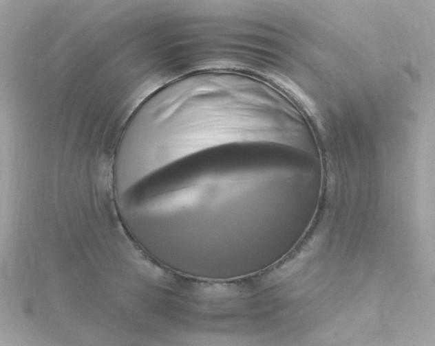 X0000115660945200911251707