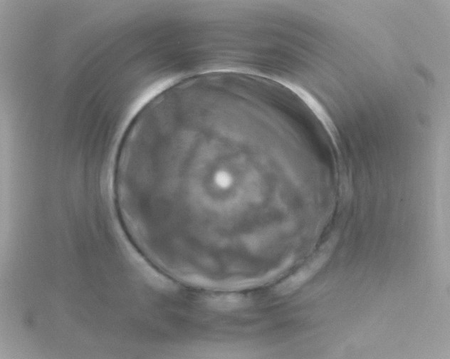X0000115660957200911251707