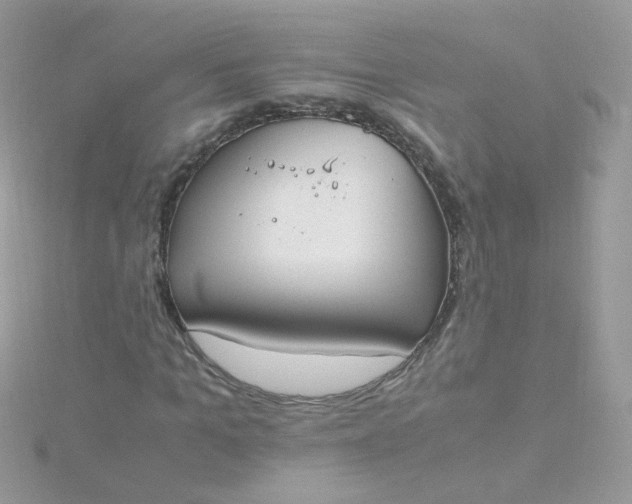 X0000115660965200911251706