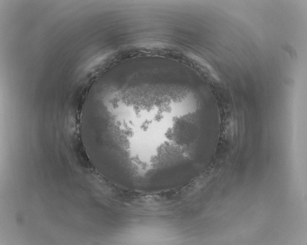 X0000115660966200911251706