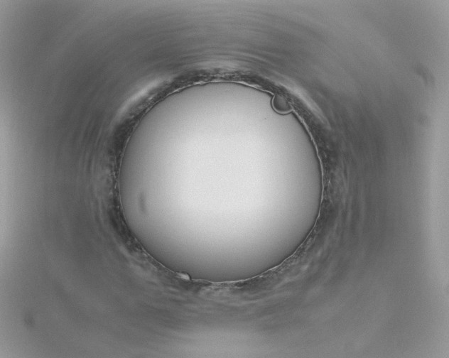 X0000115660967200911251706