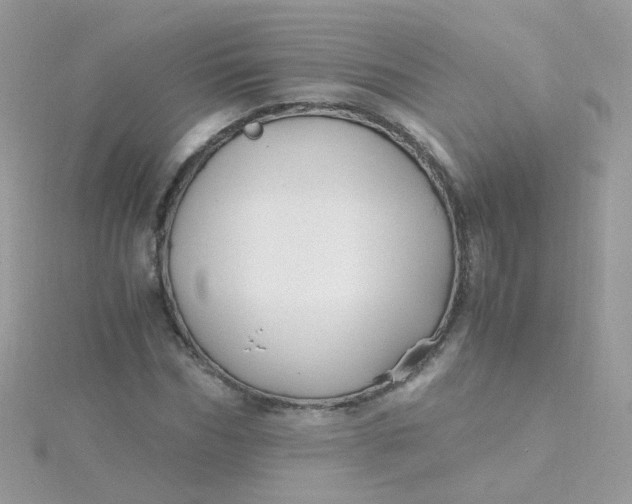 X0000115660970200911251706