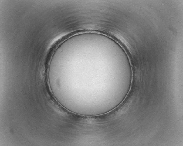 X0000115660971200911251706