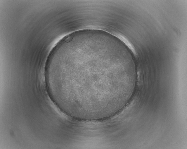 X0000115660972200911251706