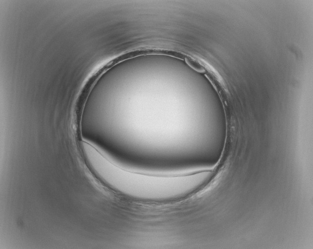 X0000115660981200911251706