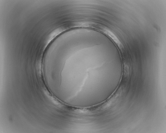 X0000115660994200911251706
