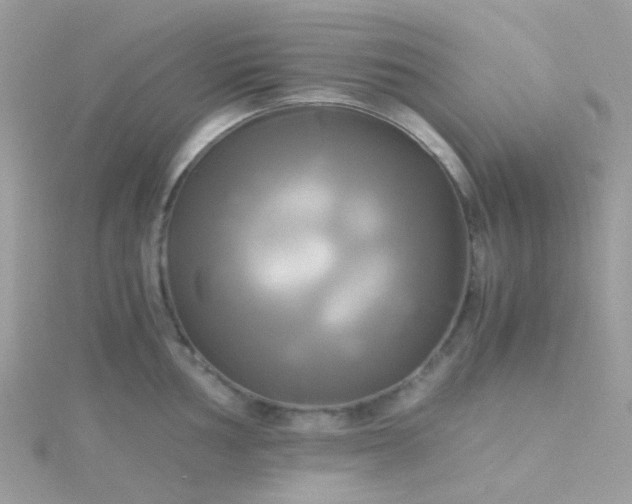 X0000115661002200911251706