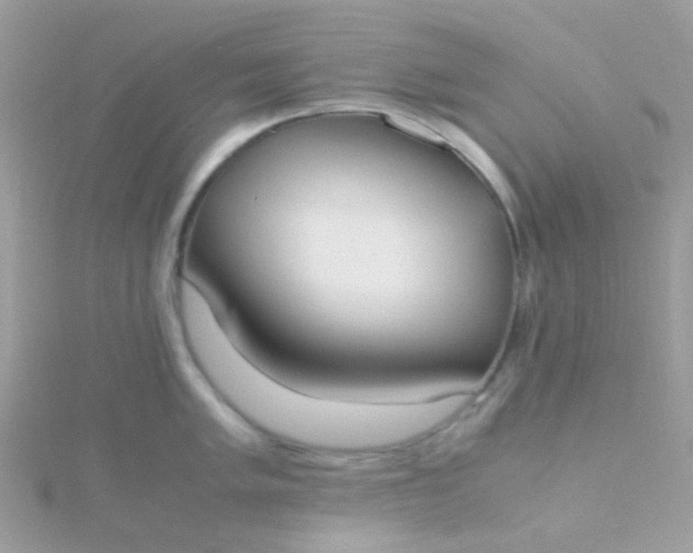 X0000115661005200911251706