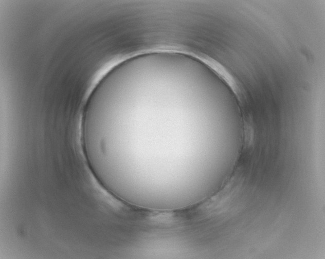 X0000115661006200911251705