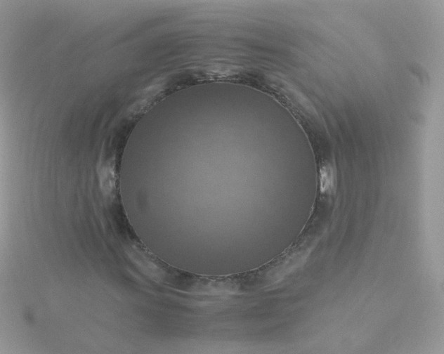 X0000115661011200911251705