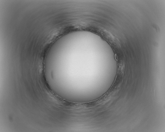 X0000115661012200911251705