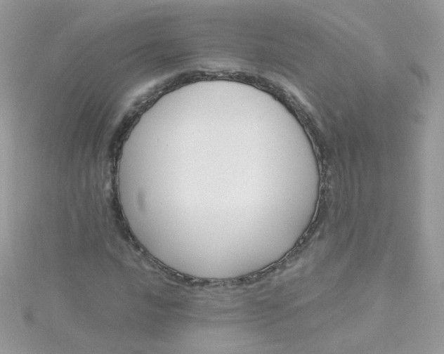 X0000115661016200911251705