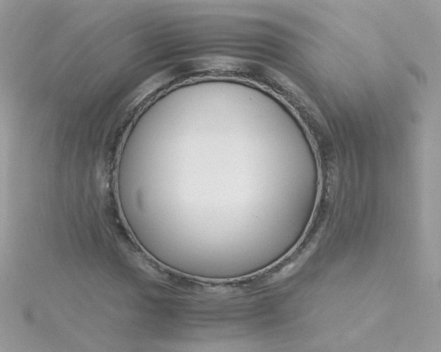 X0000115661017200911251705