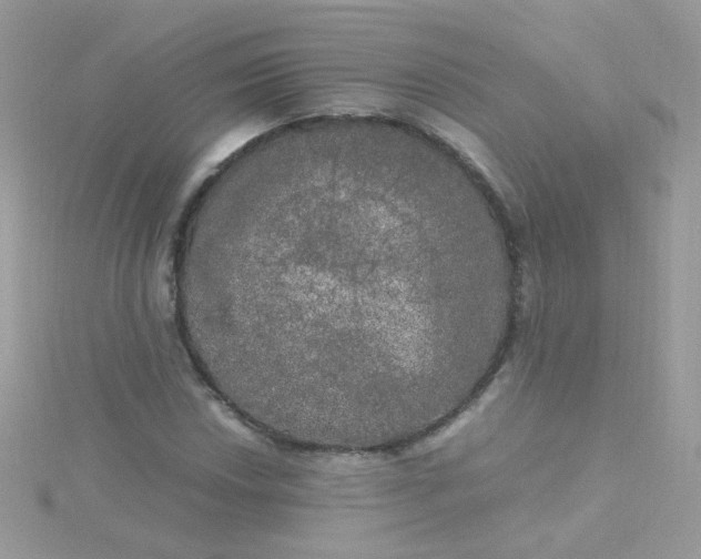 X0000115661018200911251705