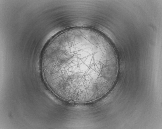 X0000115661026200911251705