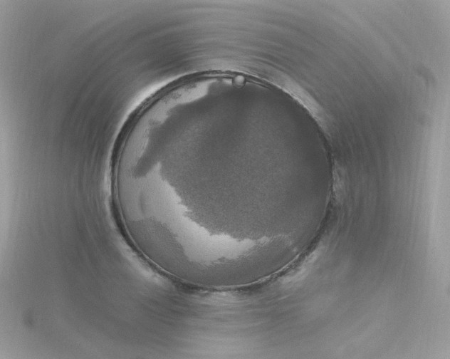X0000115661028200911251705
