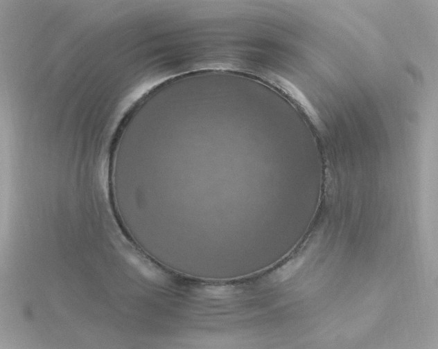 X0000115661035200911251705